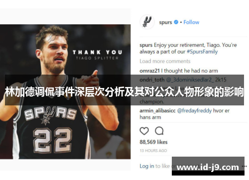 林加德调侃事件深层次分析及其对公众人物形象的影响