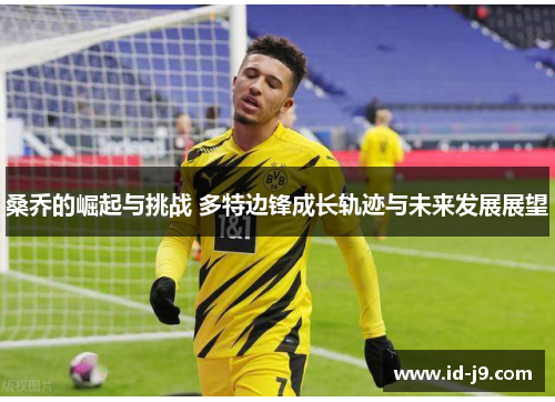 桑乔的崛起与挑战 多特边锋成长轨迹与未来发展展望 桑乔的崛起与挑战 多特边锋成长轨迹与未来发展展望