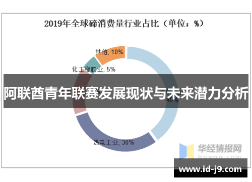 阿联酋青年联赛发展现状与未来潜力分析
